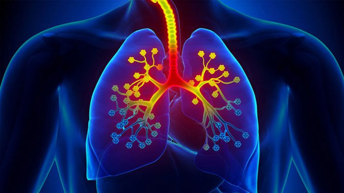 Important Facts You Should Know About Curing Your Asthma
